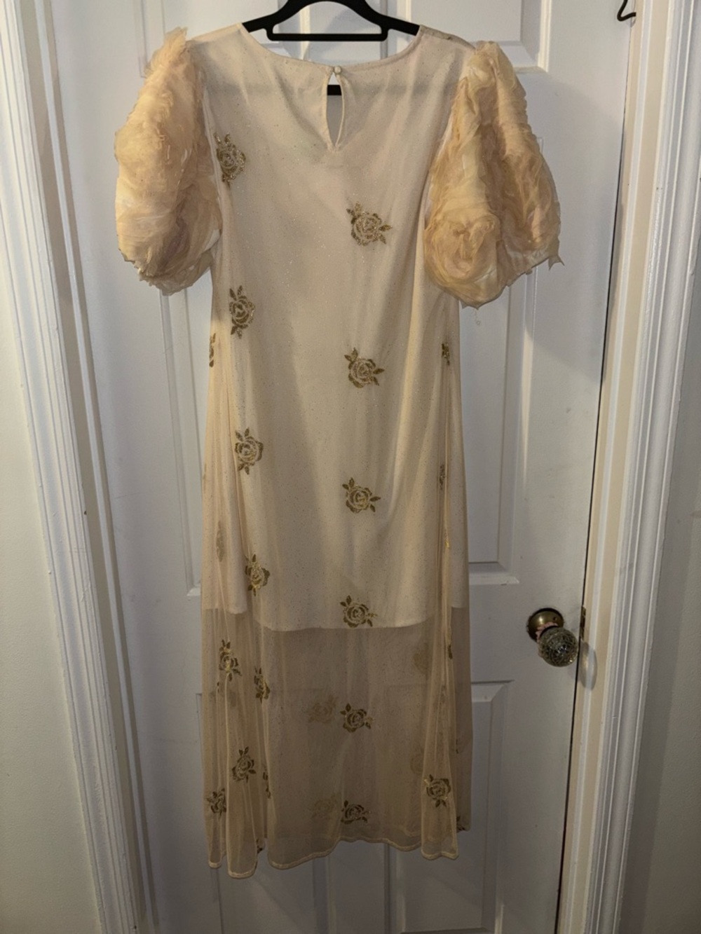 Sheer Embroidered Midi Dress in Blush with Puff Sleeves - Picture 5 of 6